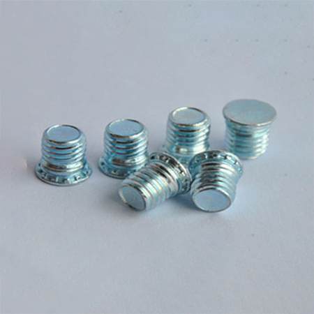 Stainless Steel Self Clinching Screws