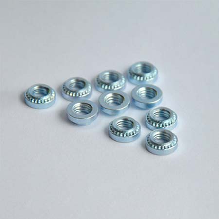 Stainless Steel Nuts