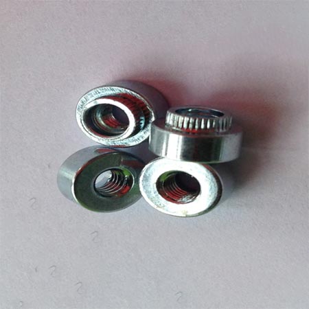 Stainless Steel Tang Rivet Nut