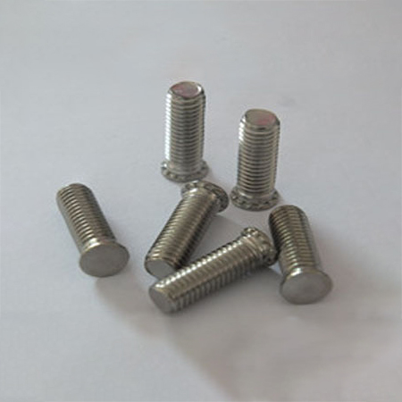 Stainless Steel Rivet Screws